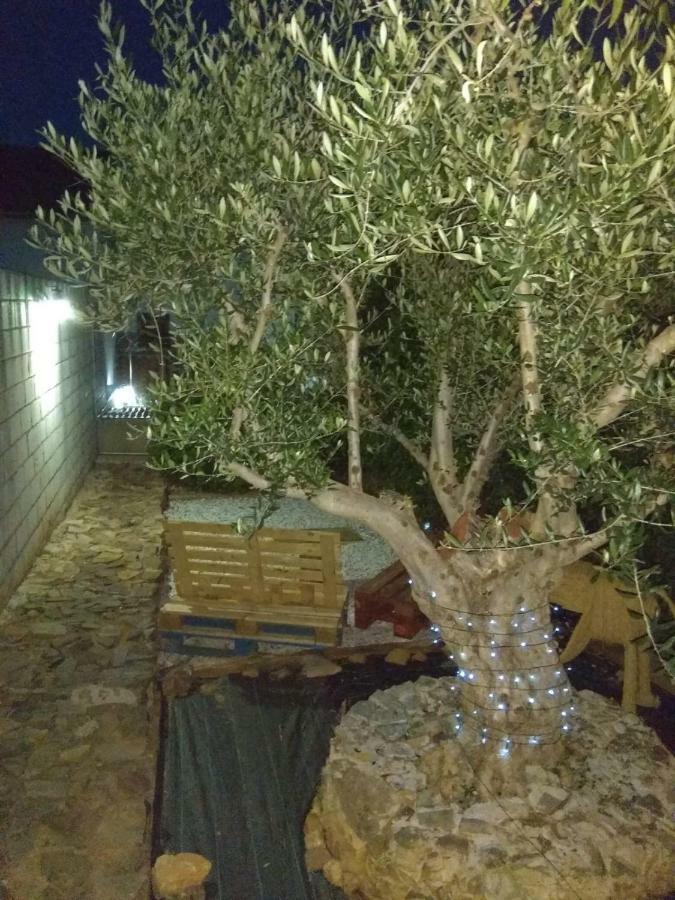 El Olivar Caces Buitenkant foto